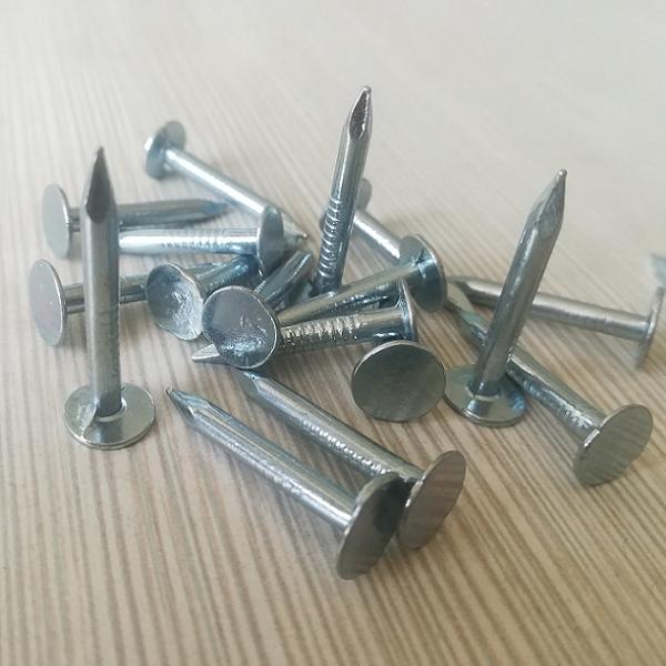 1-inch galvanized clout nails