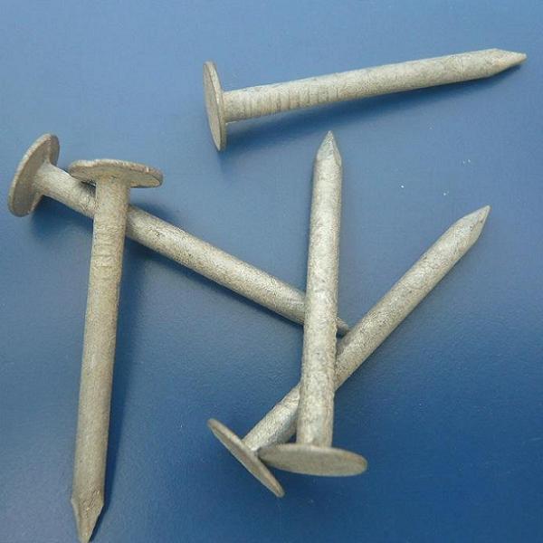 1-inch hot dipped galvanized roofing nails 1inch 10gauge