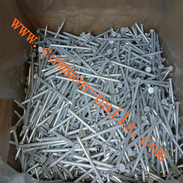 China common nails directly factory
