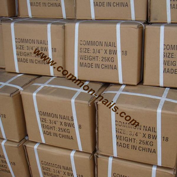 bright common nails 25kg carton