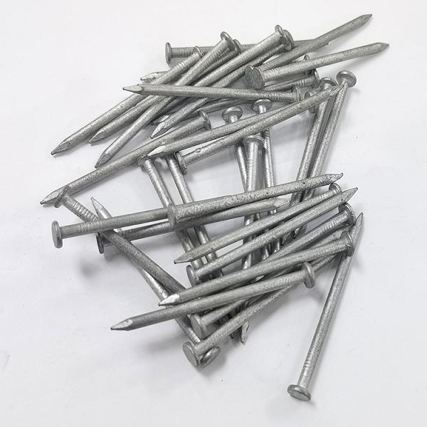 1" hot dipped galvanized common nails factory , directly factory for hot dipped galvanized wire, the best supplier of hot dipped galvanized wire, china best factory for hot dipped galvanized common nails