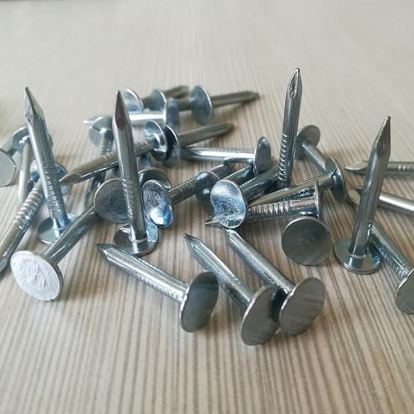 China big flat head roofing nails manufacturer