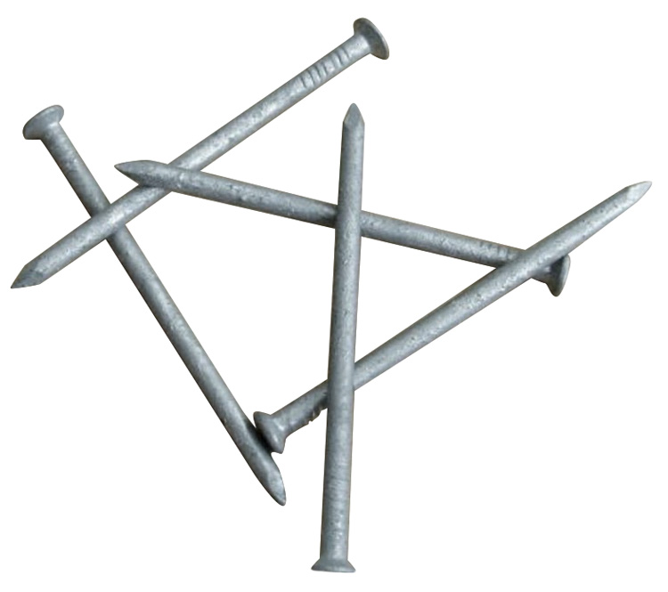 the biggest manufacturer of hot dipped galvanized nails in china