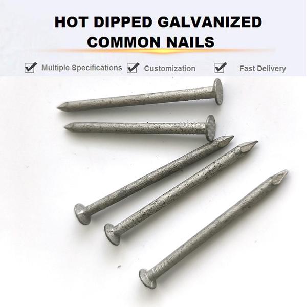 Material: Q195/Q235 low‑carbon steel
Size: 3.5 inch (88.9 mm), shank diameter 4.57 mm
Features: round flat head, smooth shank, diamond point, high toughness for thick wood
Surface: hot‑dipped galvanized, heavy zinc coating, excellent corrosion resistance
Packing: 25kg/carton, packed on export wooden pallets
Application: heavy timber work, pallets, fencing, outdoor wood construction, carpentry