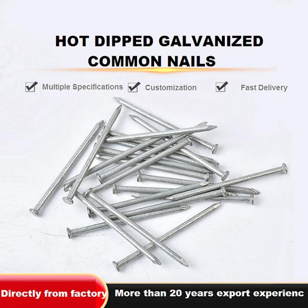 Hot dipped galvanized common nails manufacturer from China