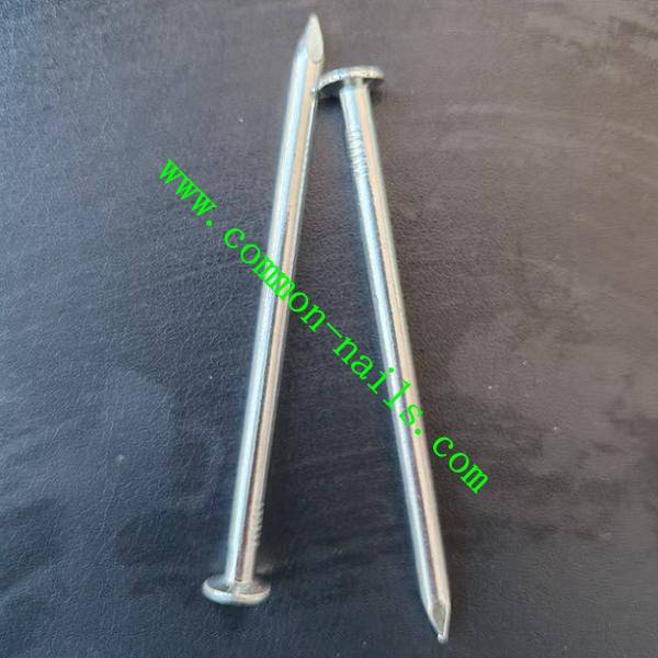 5 inch electro galvanized smooth shank common nails_副本