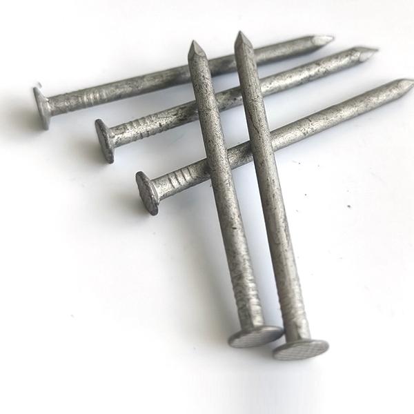 China hot dipped galvanized common nails factory