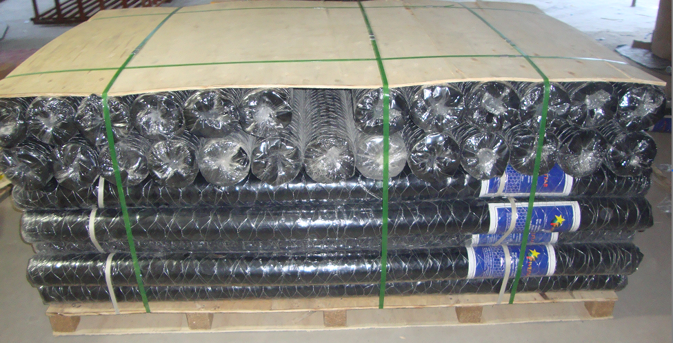 Hexagonal wire netting packing