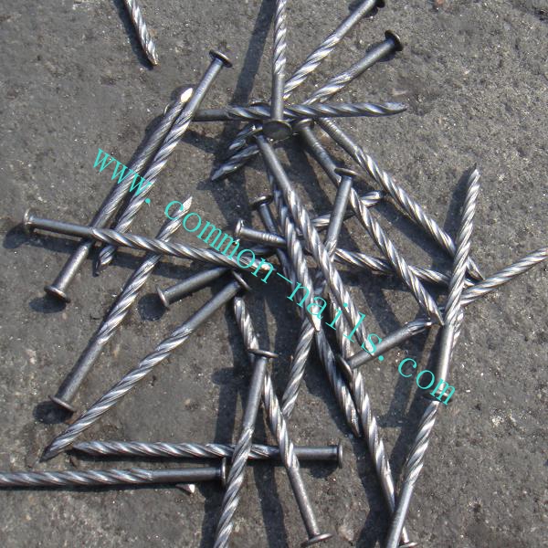 China twist shank nails manufacturer 