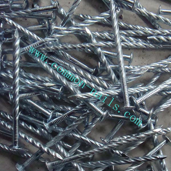 galvanized twist shank nails for manufacturing wooden pallet