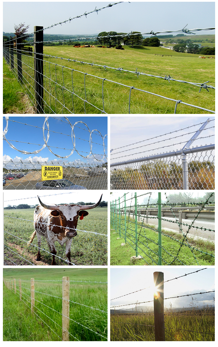 barbed wire fence 's using