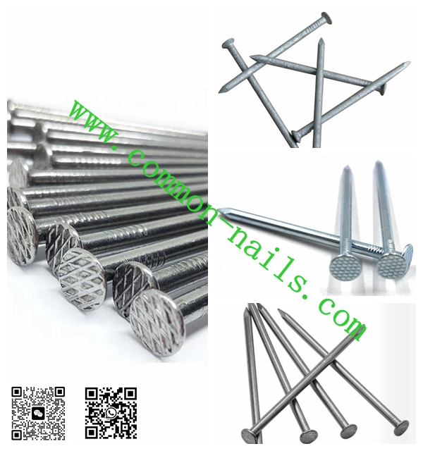 clavos galvanizado