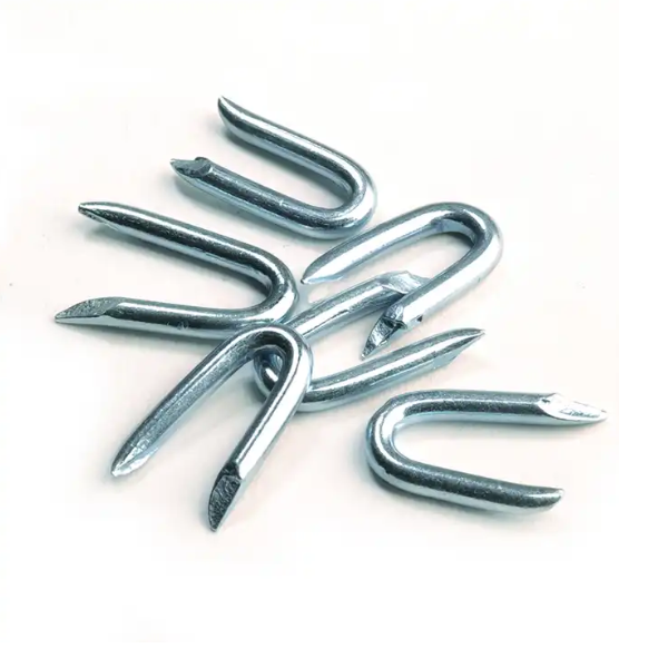 electro galvanized fencing staples manufacturer