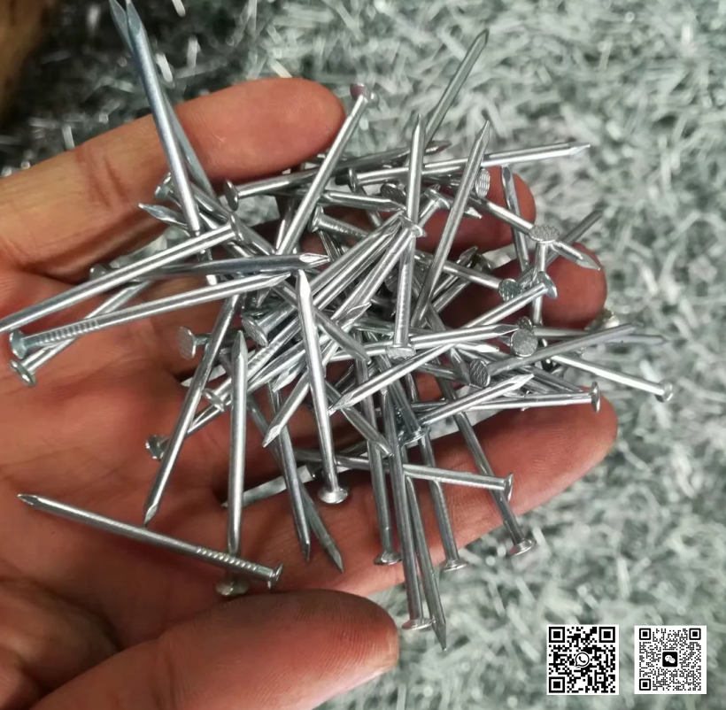 china electro galvanized smooth shank common nails factory
