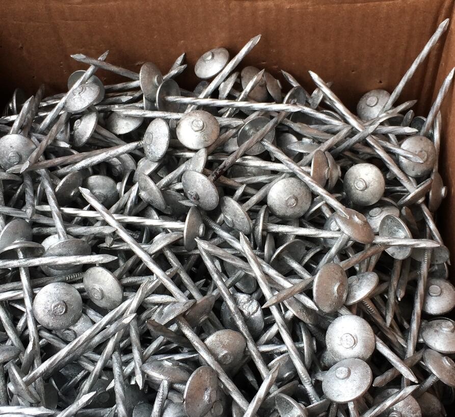 Hot dipped galvanized umbrella head roofing nails twist shank 