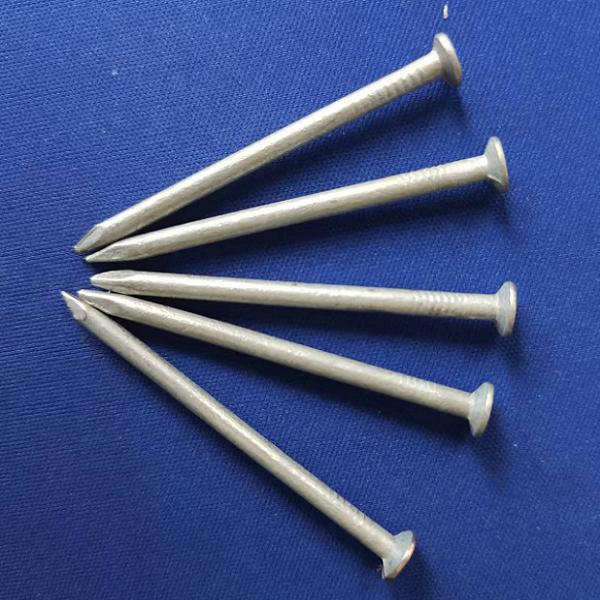 1" hot dipped galvanized common nails factory , directly factory for hot dipped galvanized wire, the best supplier of hot dipped galvanized wire, china best factory for hot dipped galvanized nails