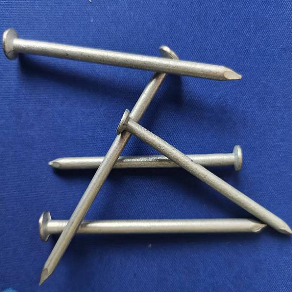 china hot dipped galvanized common nails directly factory , the best factory production hot dipped galvanized nails