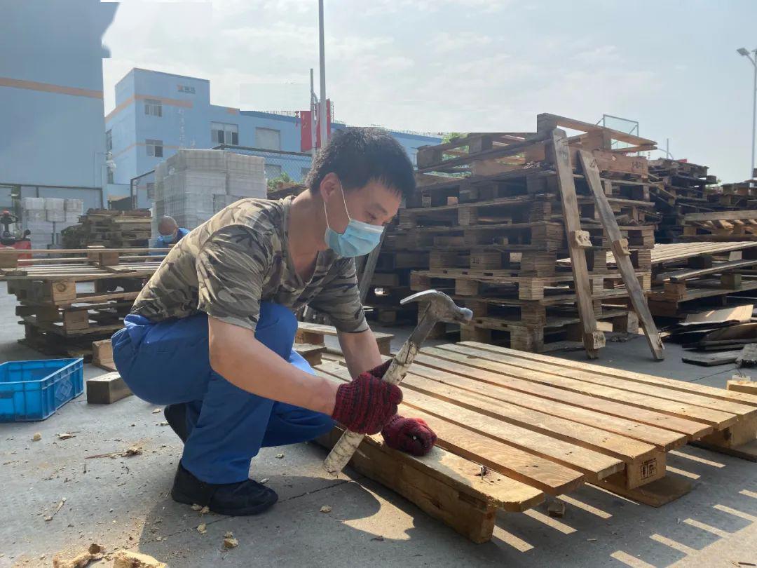 twist nails for repair wooden pallet