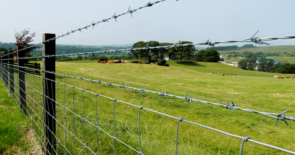 farm barbed fence.paddock wire fence