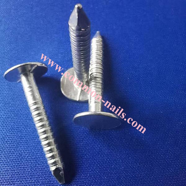 1" galvanized ring shank roofing nails supplier